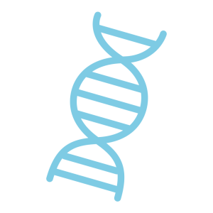 DNA PNG