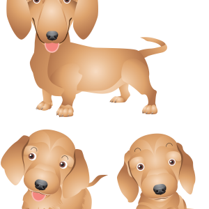 Dog PNG