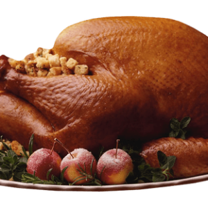 Turkey food PNG