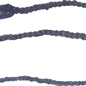 Whip PNG