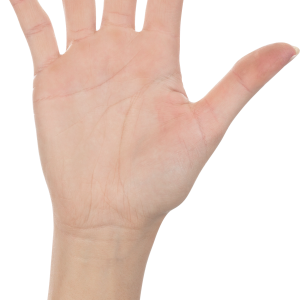 Hands PNG, hand image free