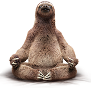 Sloth PNG