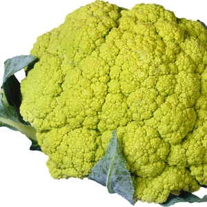 Cauliflower PNG