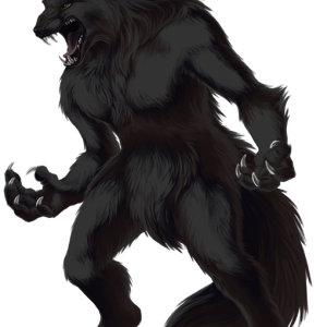 Werewolf PNG