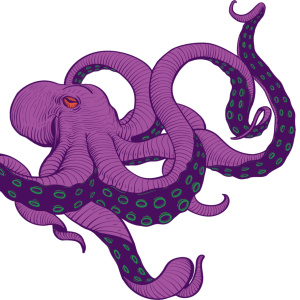Octopus PNG
