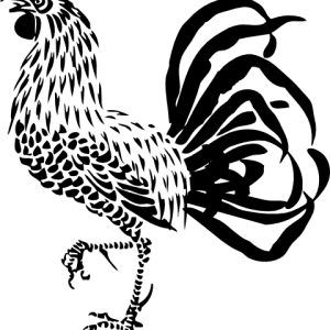Cock PNG