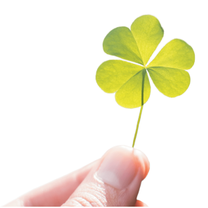 Shamrock PNG