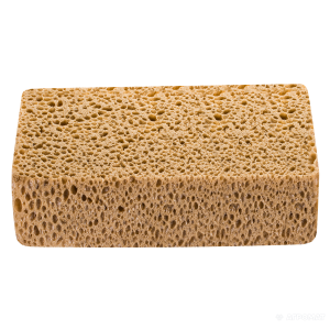 Sponge bath PNG