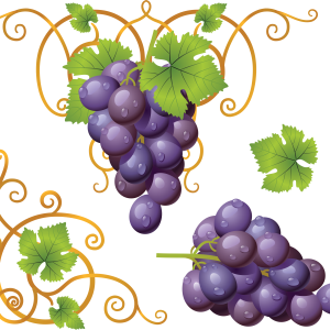 Grape PNG image
