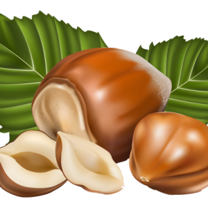hazelnut PNG