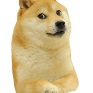 Doge (meme) PNG image