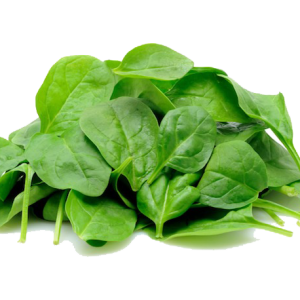 Spinach PNG