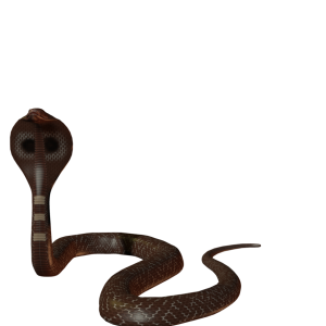 Cobra PNG