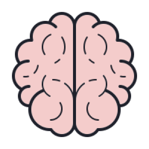 Brain PNG