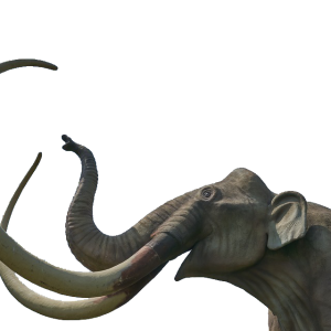 Mammoth PNG