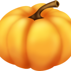 Pumpkin PNG image