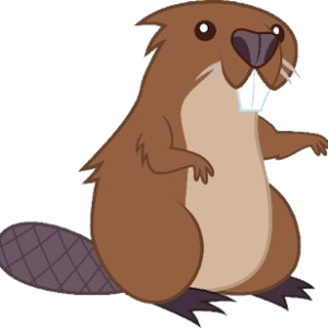 Beaver PNG