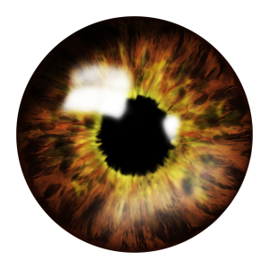 Eye PNG