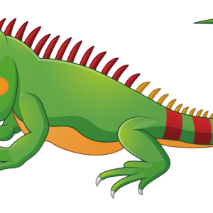 Iguana PNG