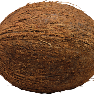 Coconut PNG image