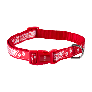 Dog collar PNG