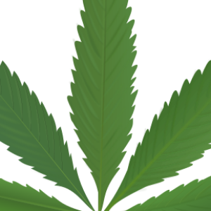 Cannabis PNG