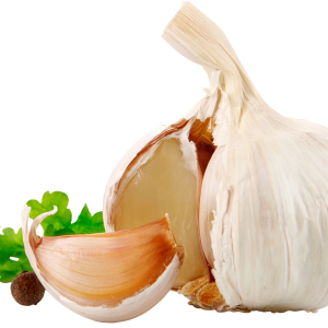 Garlic PNG