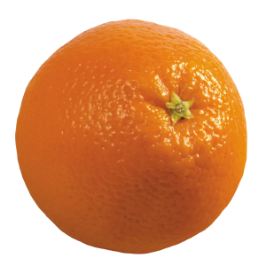Mandarin PNG