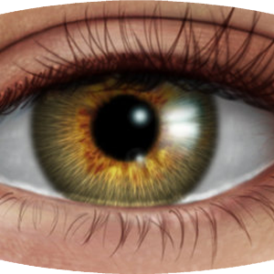 Eye PNG