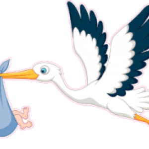 stork baby PNG