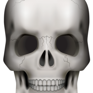 Skull PNG