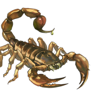 Scorpion PNG