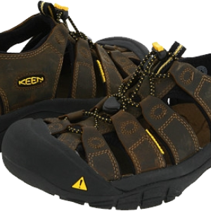 Sandals PNG image