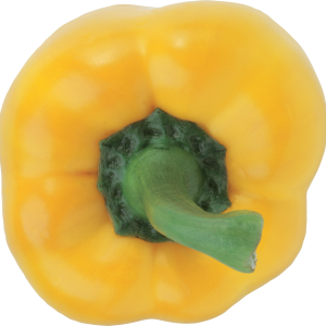 Bell pepper PNG