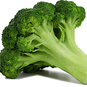 Broccoli PNG