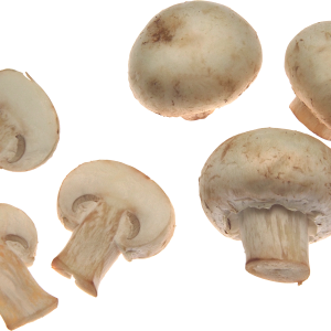 White mushrooms PNG image