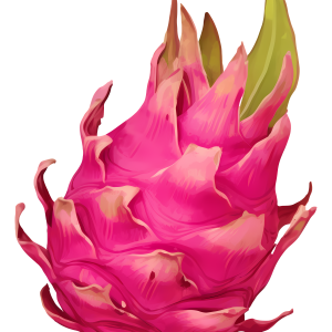 pitaya PNG