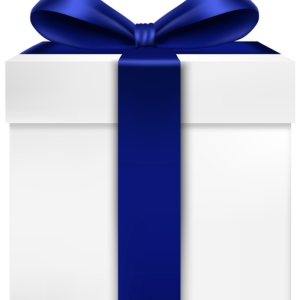 Gift box PNG