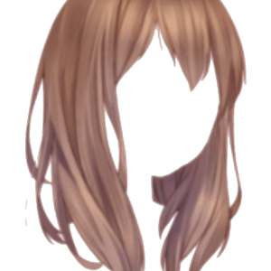 Hair wig PNG