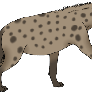 Hyena PNG
