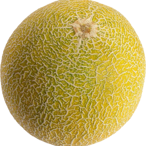 Melon PNG