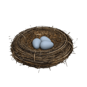 Nest PNG