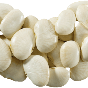 Kidney beans PNG