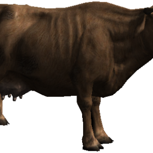 Cow PNG image