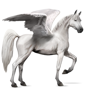 Pegasus PNG