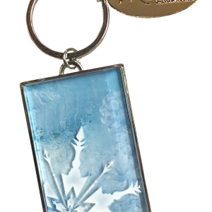 Keychain PNG