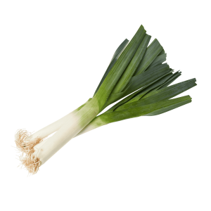Leek PNG