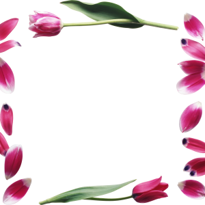 Floral frame PNG