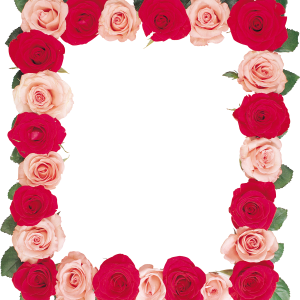 Floral frame PNG