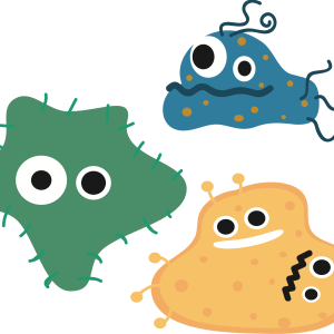 Bacteria PNG